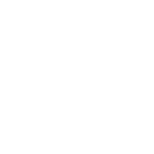 Antico Forno Bacci, dal 1955